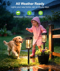 Ahaorigin Solar Outdoor Lights, 8 Pack Solar Pathway Lights Outdoor, 2 Lighting Modes Waterproof Solar Lights Outdoor, Sturdy Metal Rods