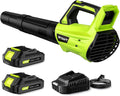 RYAHT Leaf Blower Cordless, Leaf Blower with Battery and Charger, 2 Speed Modes, 2 Batteries