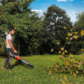 WORX 12 Amp Electric Leaf Blower, Turbine Blower for Lawn Care with 600 CFM & 2 Speed Control, Corded, WG520